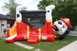 Fire Dog Belly Combo 1B