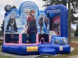 IMG 0223 1773194845 3D Frozen Water Slide 5A