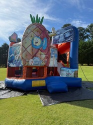 IMG 3361 1773195203 3D Spongebob Dry 5A