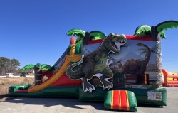 IMG 6790 1773193802 Dinosaur Combo 4A