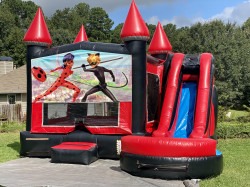 IMG 8115 1773245429 Crazy Bulldog Combo Dry 7A