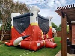 IMG 8443 1772639578 Fire Dog Belly Combo 1B