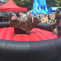 Mechanical Bull (Cannot be plugged into a gas generator)