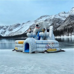 20' Polar Plunge Dry Slide