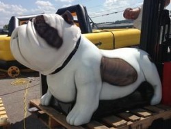Mechanical BULLDOG (Cannot be plugged into a gas generator)