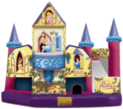 3D Princess Water Slide 5A