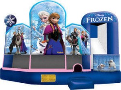 3D Frozen Water Slide 5A