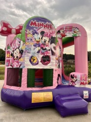Backyard Minnie Mouse Combo 5B