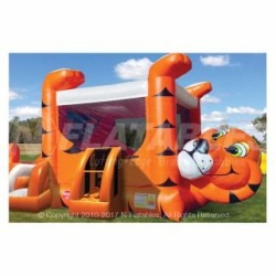 Tiger Belly Combo 1B