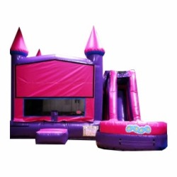 Crazy Daisy Combo Water Slide 7A