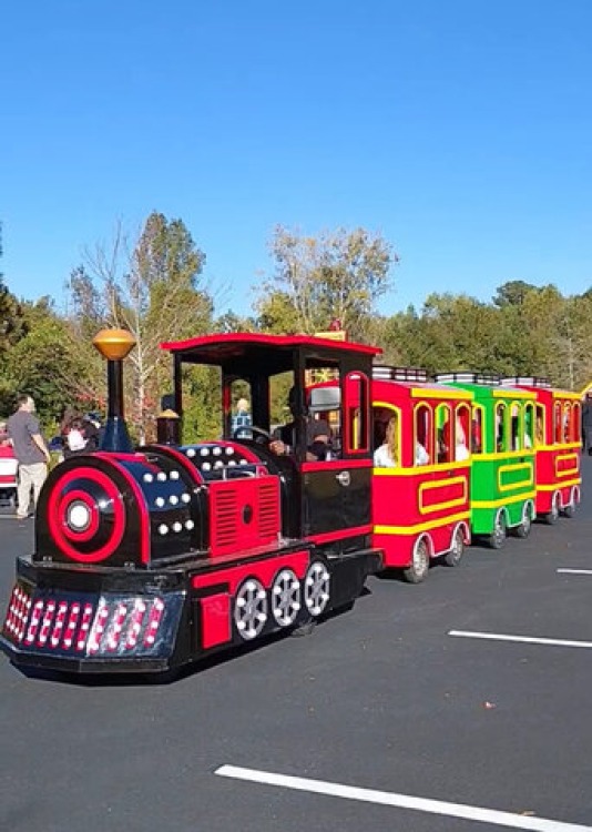 Express Trackless Train