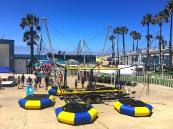 V5- Ultimate Bungee Trampoline