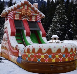 Gingerbread Slide